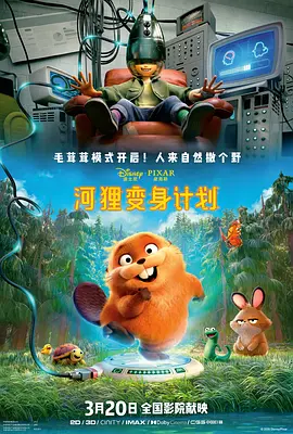 汉责文化小贝板子视频